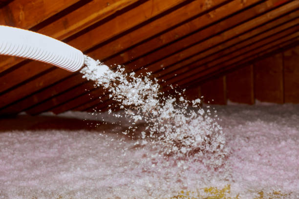Best Eco-Friendly Insulation in Hialeah, FL